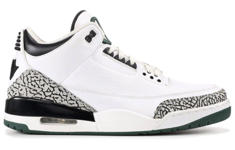 Air Jordan 3 Retro Oregon Ducks Pit Crew White/Black
