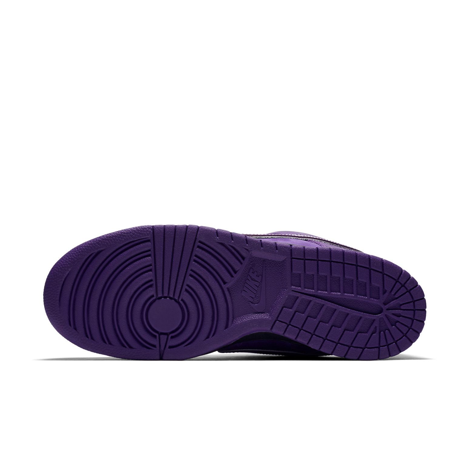 Nike x Concepts SB Dunk Low Purple Lobster