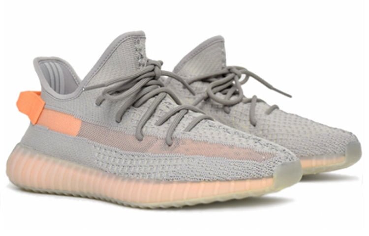 Adidas Yeezy Boost 350 V2 True Form