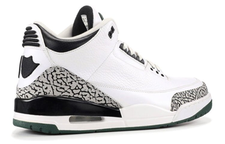 Air Jordan 3 Retro Oregon Ducks Pit Crew White/Black