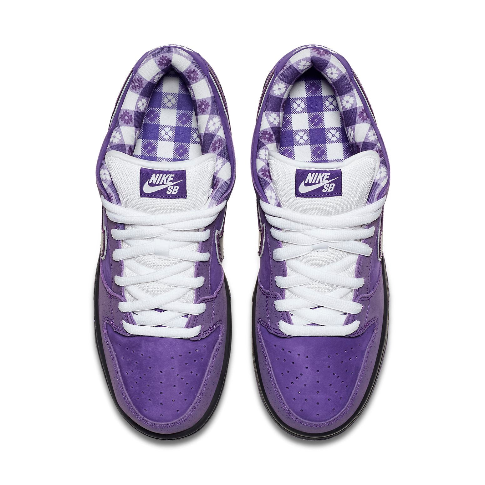Nike x Concepts SB Dunk Low Purple Lobster