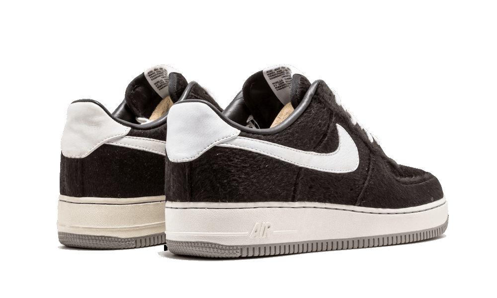 Nike Air Force 1 Low Prm Tz Bearbrick