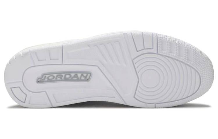 Air Jordan 3 Retro Silver Anniversary