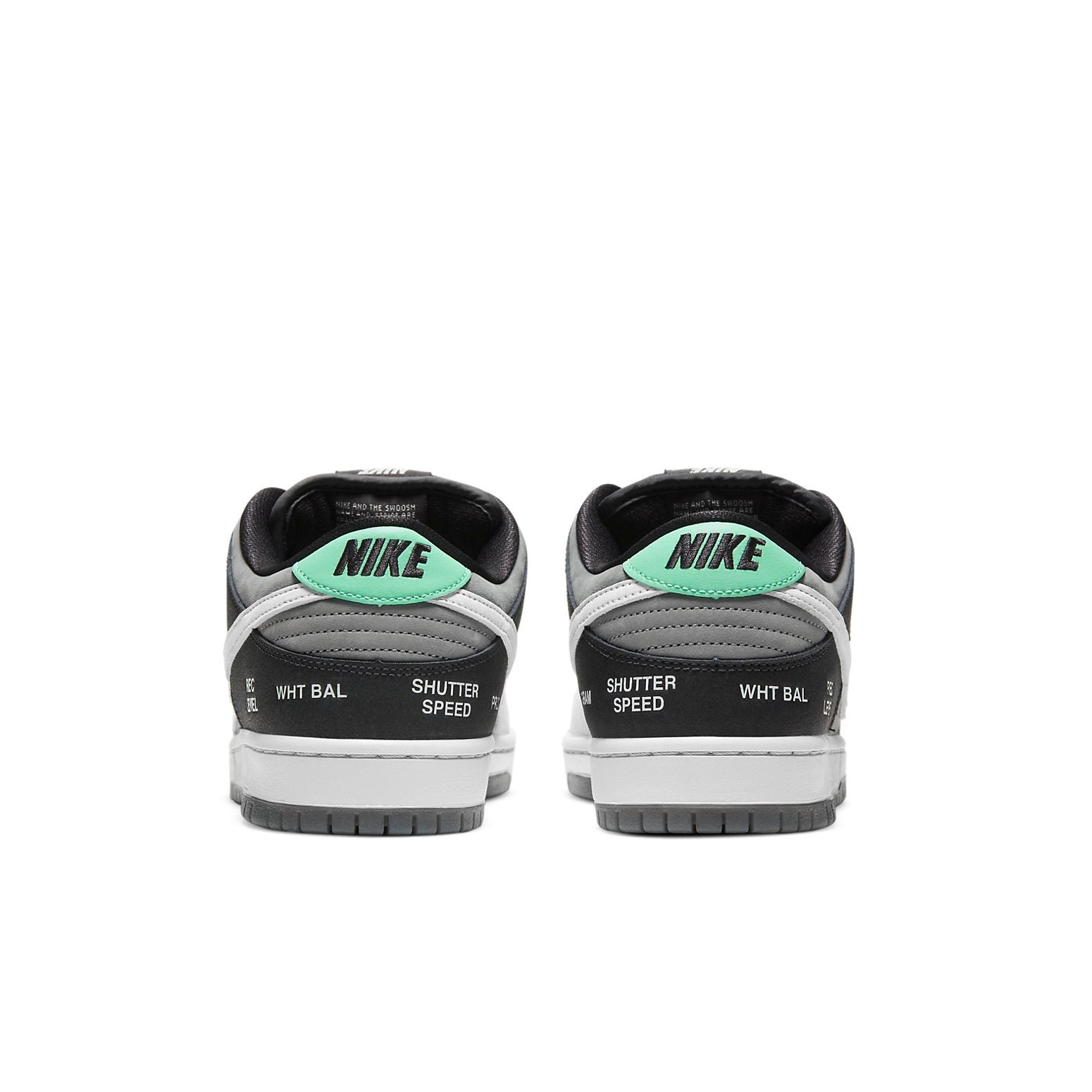 Nike SB Dunk Low Camcorder