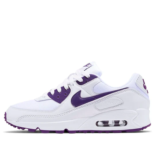 Nike Air Max 90 Color Pack Court Purple
