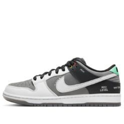 Nike SB Dunk Low Camcorder