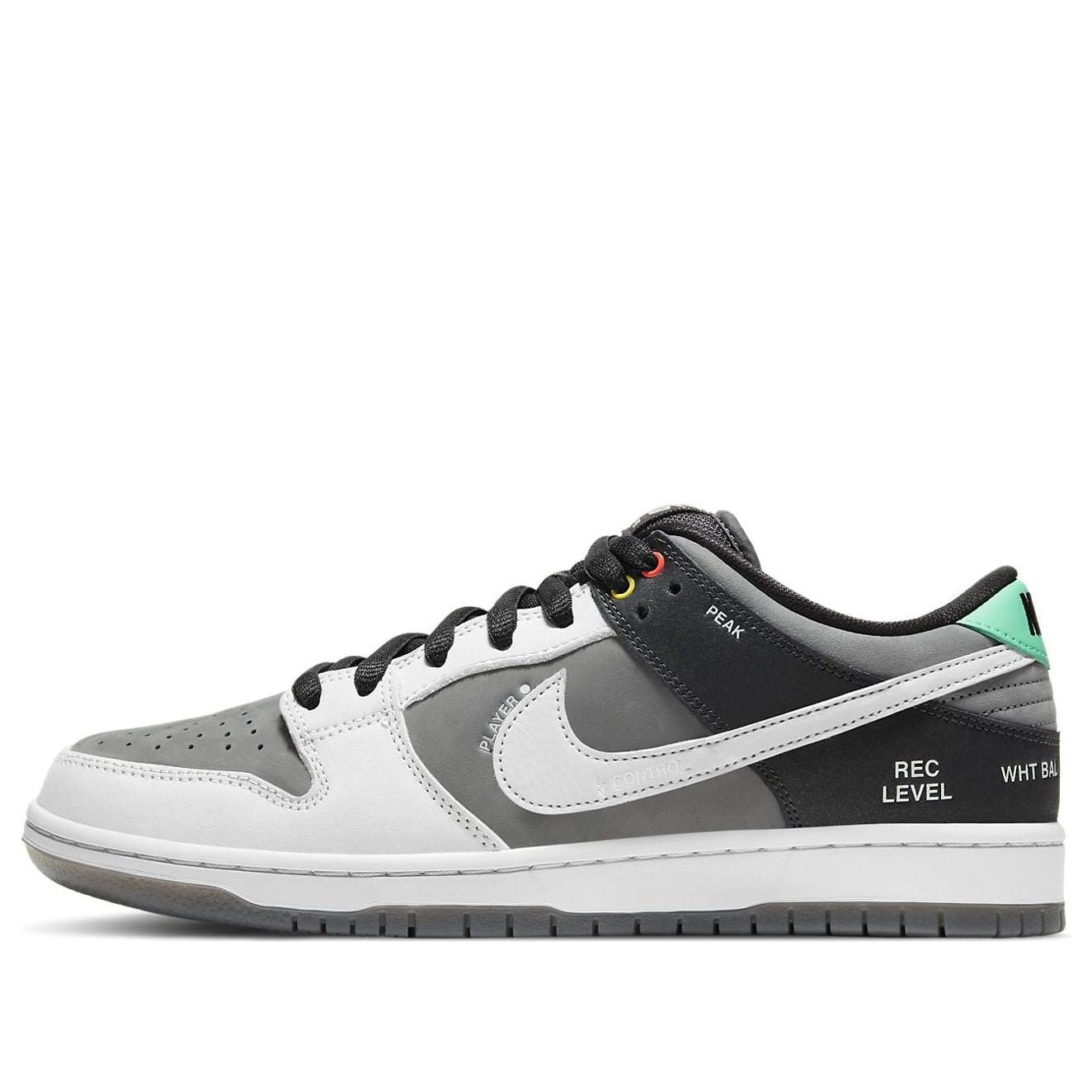 Nike SB Dunk Low Camcorder
